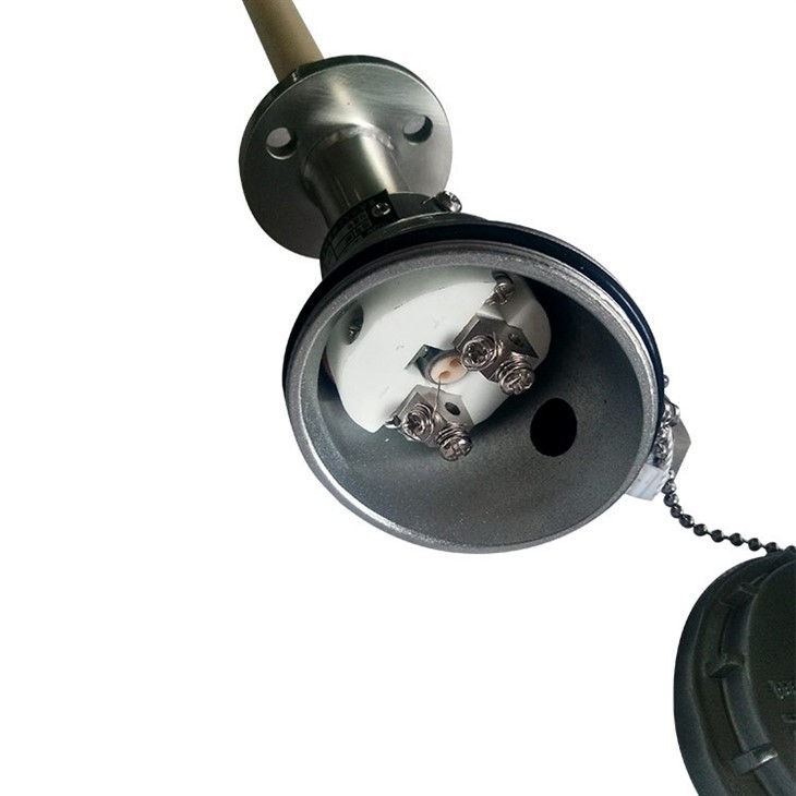 Platinum Rhodium Thermocouple-4.jpg